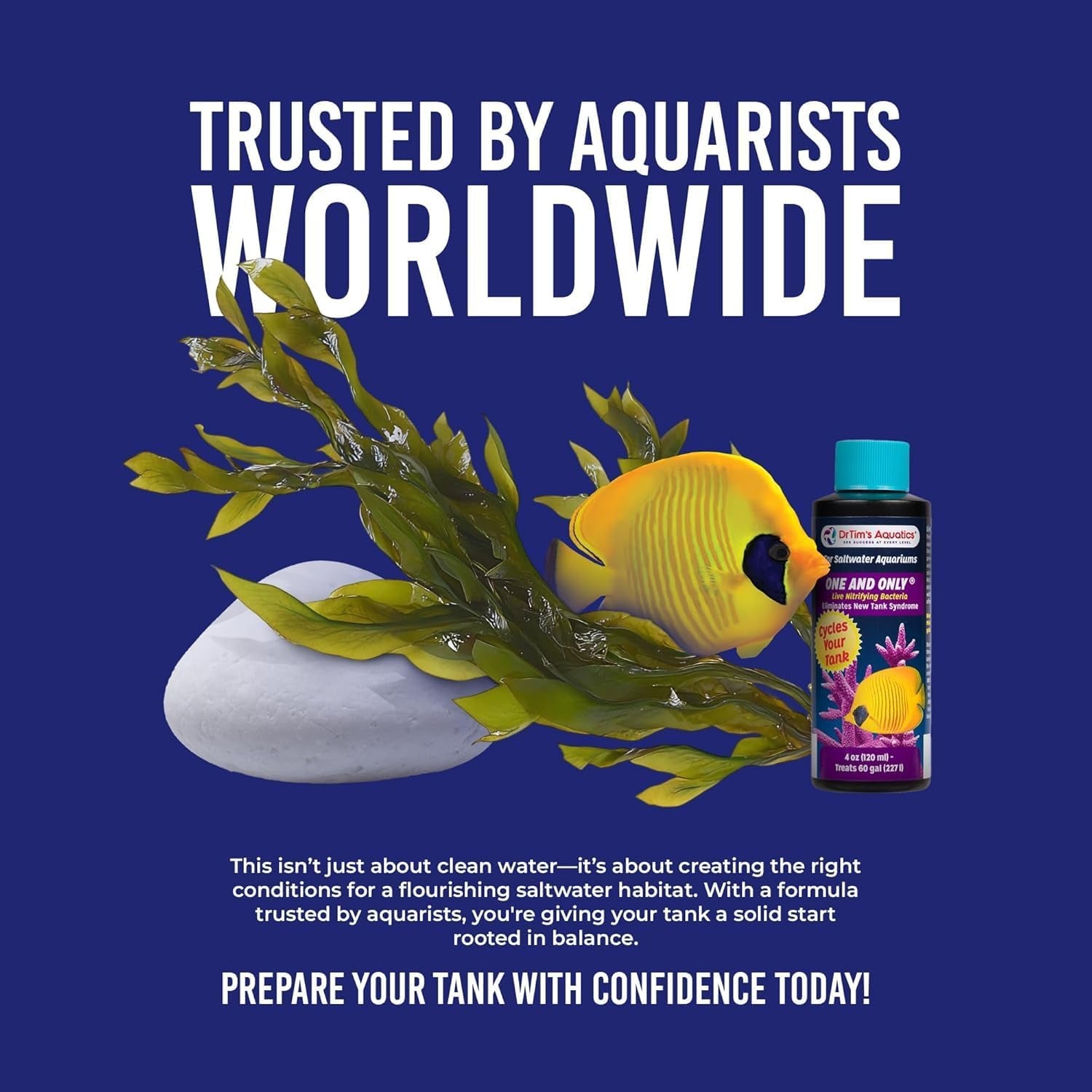 Dr Tim's One & Only Saltwater Nitrifying Bacteria 2 4 8 oz Aquarium