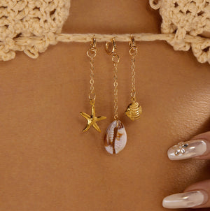 Shell Starfish 0092