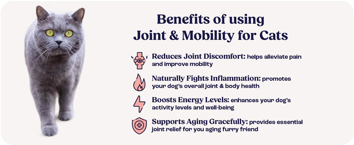 Cat Joint Supplement with Chondroitin for Mobility