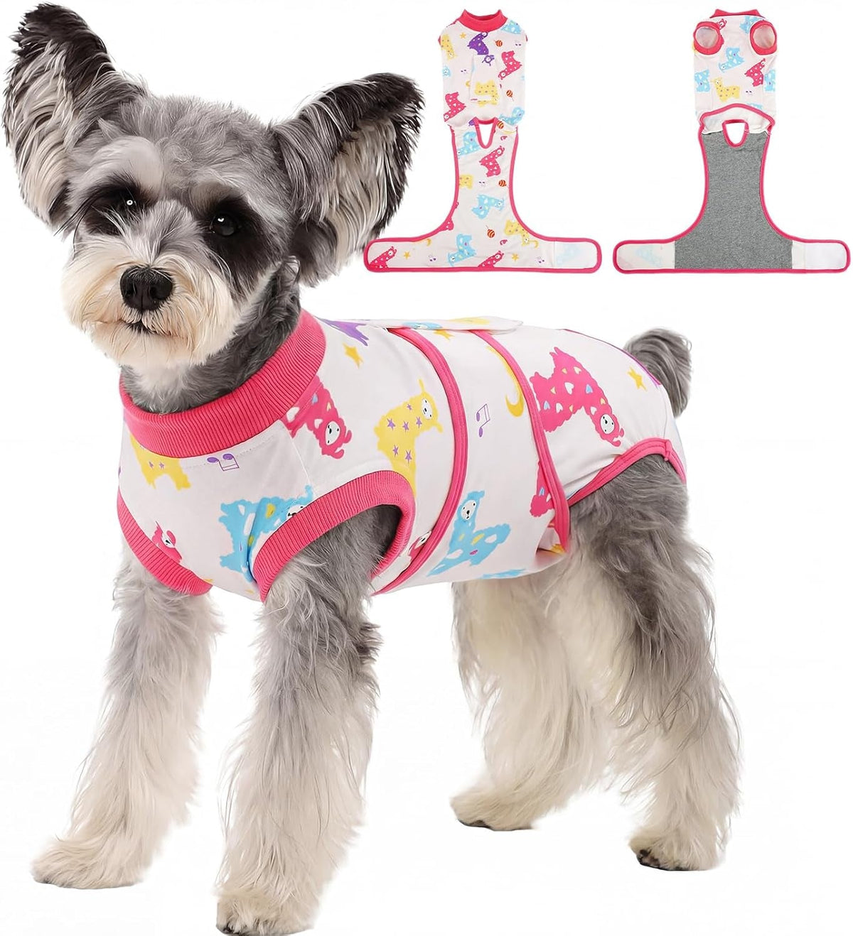 Female Dog Recovery Suit After Spay, XS–2XL