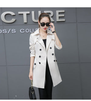 Beige Color