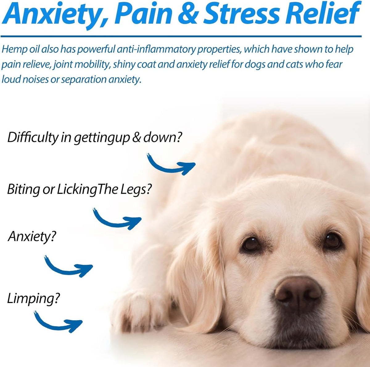 Hemp Oil for Dogs & Cats — Calming, Joint & Skin Support | 60ml Daily Supplement
