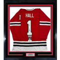 Framed Autographed/Signed Glenn Hall 35x39 Chicago Red Hockey Jersey JSA COA