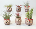 Ceramic Owl Planters Natural –  Air Plant Pots with Live Air Plants