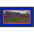 Framed Ben Hill Griffin Stadium (The Swamp) Florida Gators 16x24 NCAA Football Photo Professionally Matted