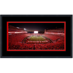 Framed Sanford Stadium Georgia Bulldogs 16x24 NCAA Football Photo Professionally Matted