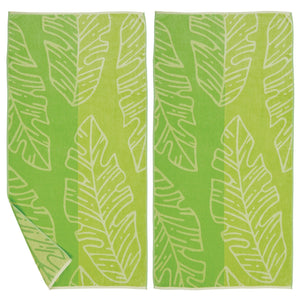 Tropical Palm