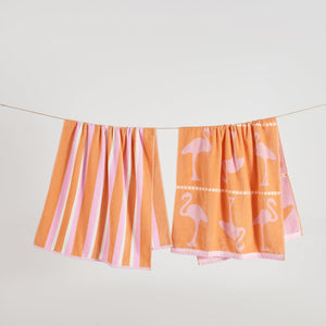 Flamingo Orange / Pink