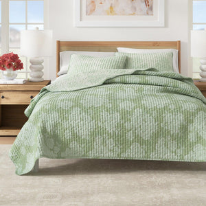 Eucalyptus
