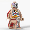 Human Body Guy Visible Anatomy Man Skin Color Minifigure Toy