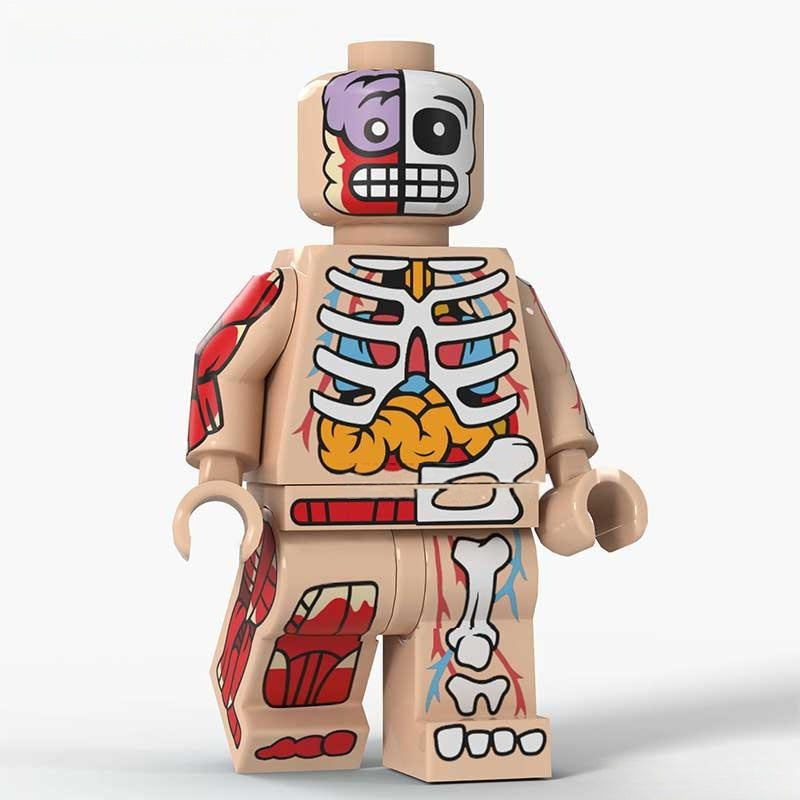 Human Body Guy Visible Anatomy Man Skin Color Minifigure Toy