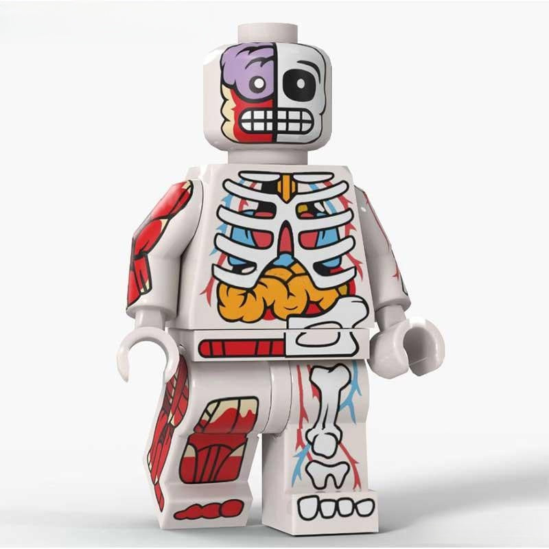 Human Body Guy Visible Anatomy Man White Color Minifigure Toy