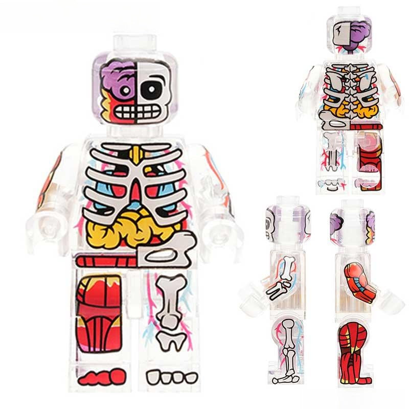 Human Body Transparent Visible Anatomy Man Minifigure Toy