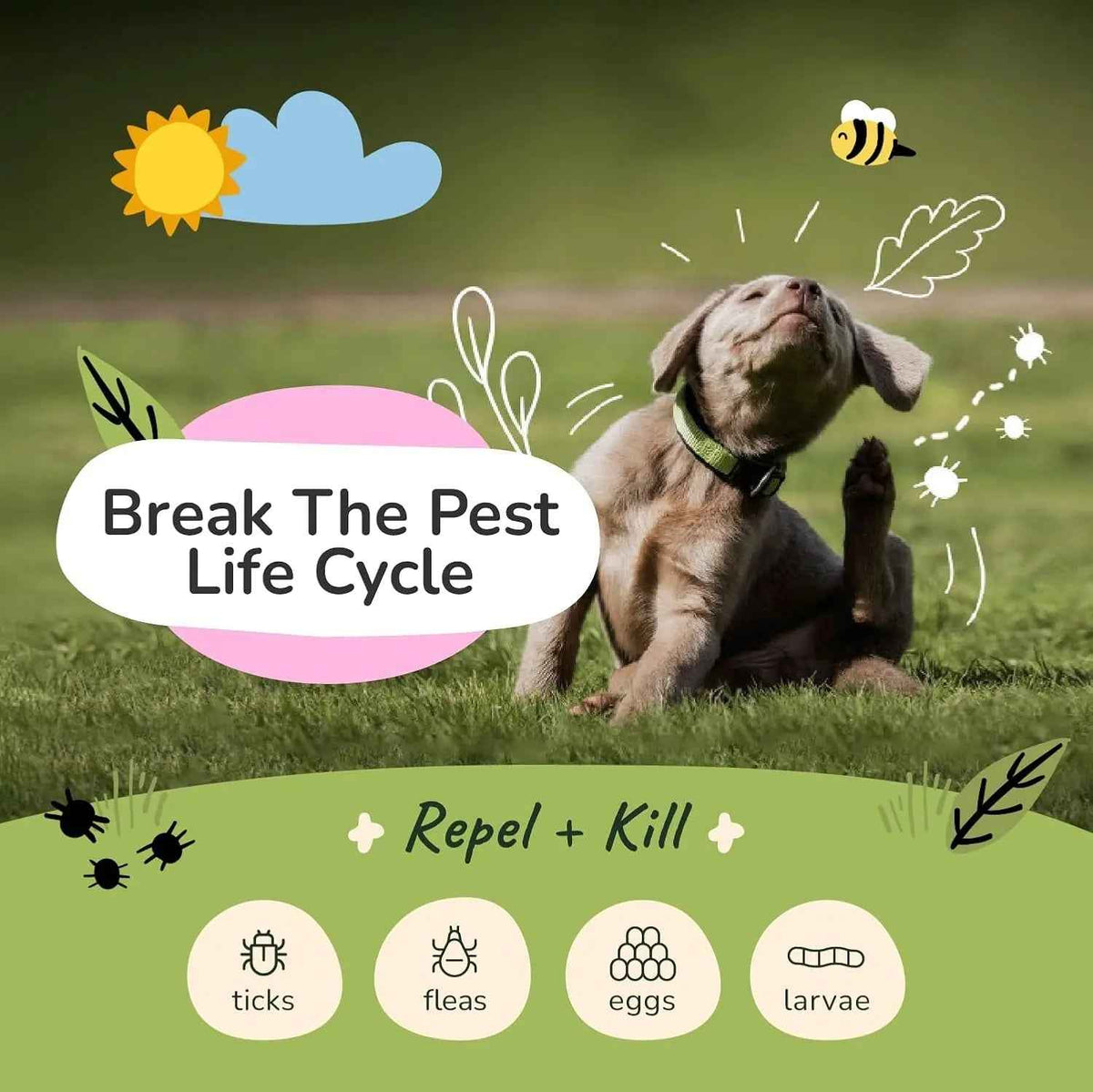 kin+kind Flea & Tick Shampoo & Spray Kit for Dogs & Cats