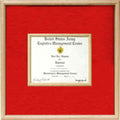 Air Force certificate in middle Display case.