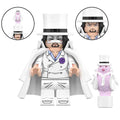 Rob Lucci from ONE PIECE Anime Minifigure Toys