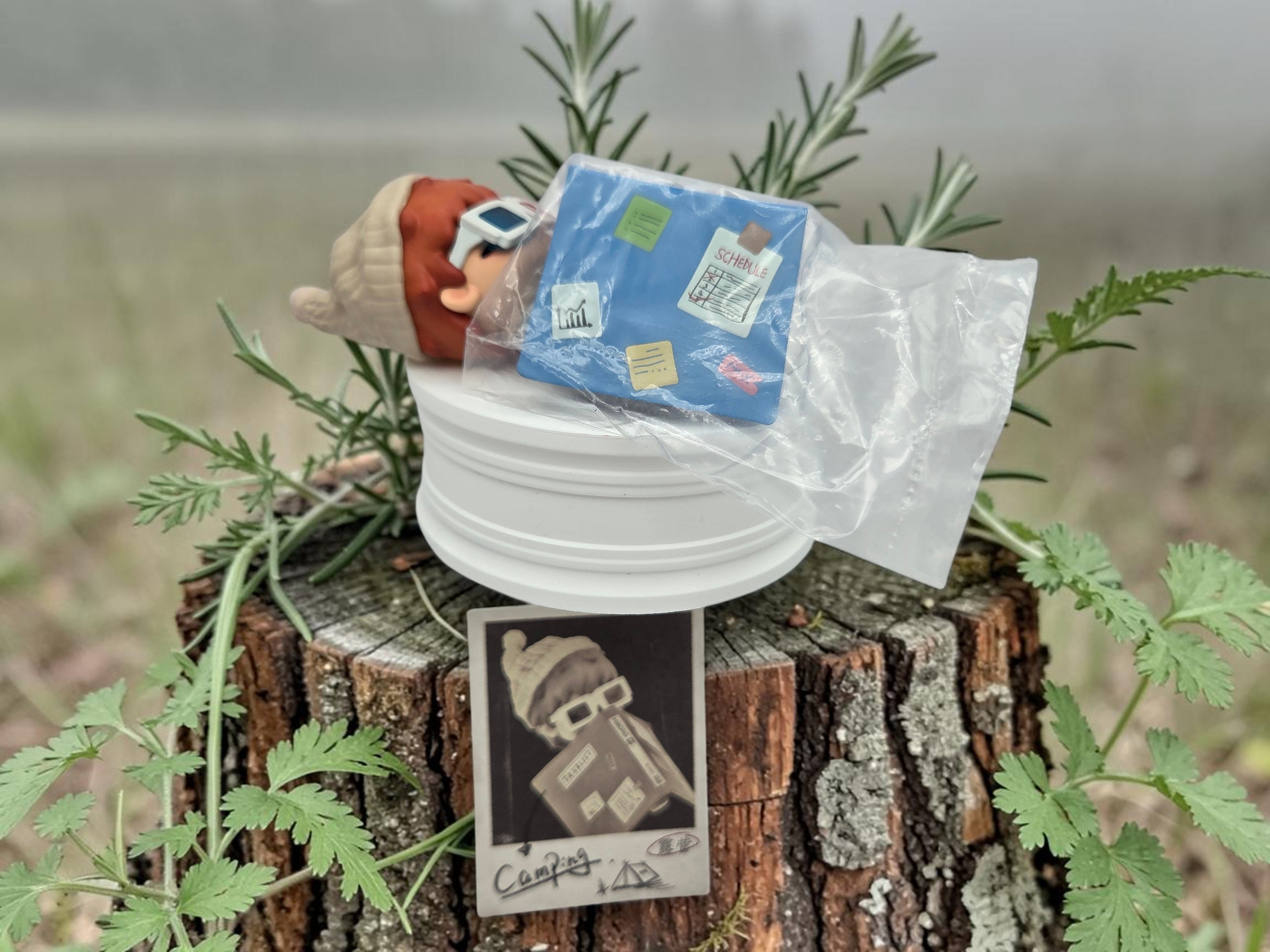 Momof2boyz Hirono Tamed Wildgrass camping figure with accessories on a log. Includes a polaroid photo.