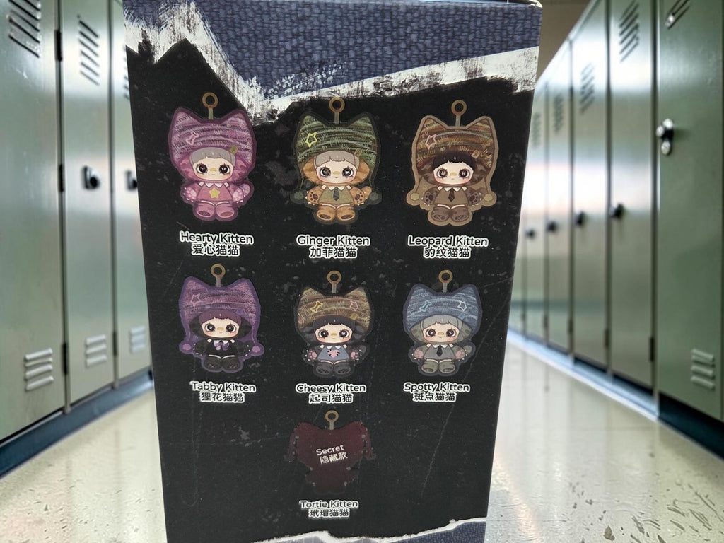 Momof2boyz Shop Maymei Kitten Academy collectible figure box showing Hearty, Ginger, Leopard, Tabby, Cheesy, and Spotty kittens.