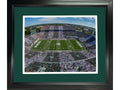 Framed Spartan Stadium Michigan State Spartans 11"x14" NCAA Football Photo Professionally Matted