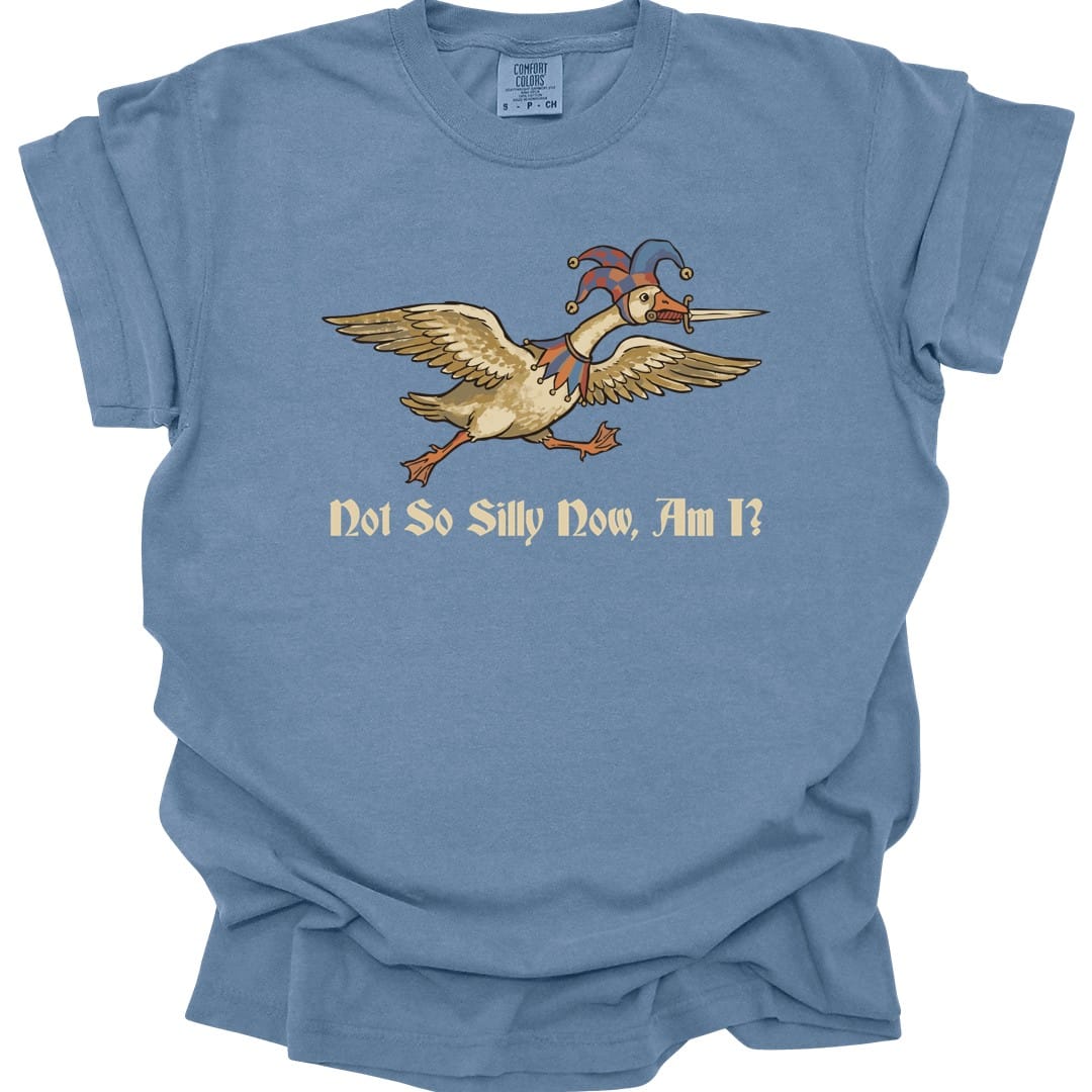 Not So Silly Now, Am I? T-Shirt - Comfort Colors