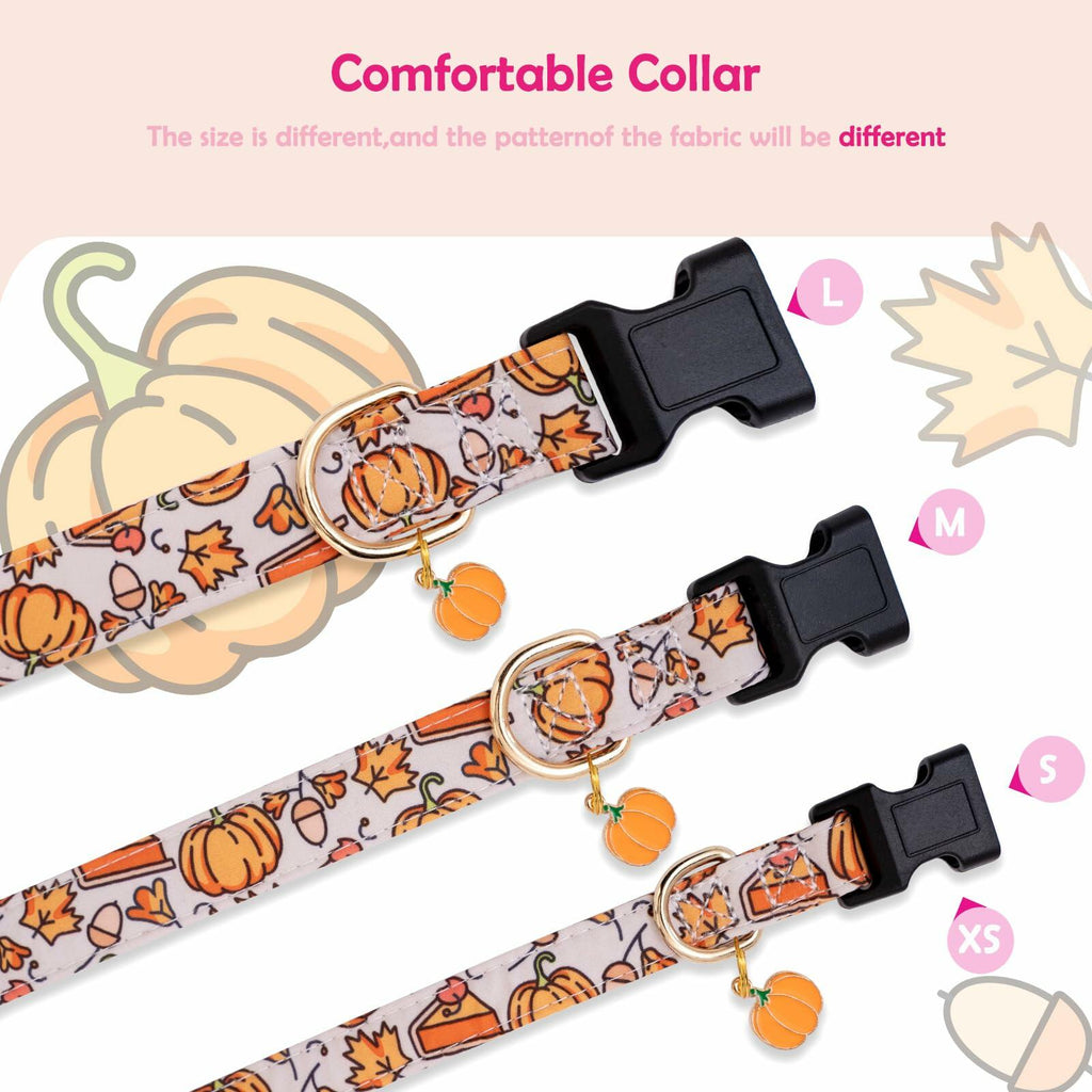 Faygarsle Orange Dog Collar Pumpkin Leaf Pattern Fall Autumn Small Size S