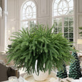 Dushle Norfolk Pine Branches 18in Artificial Greenery Stems 6 Count Green