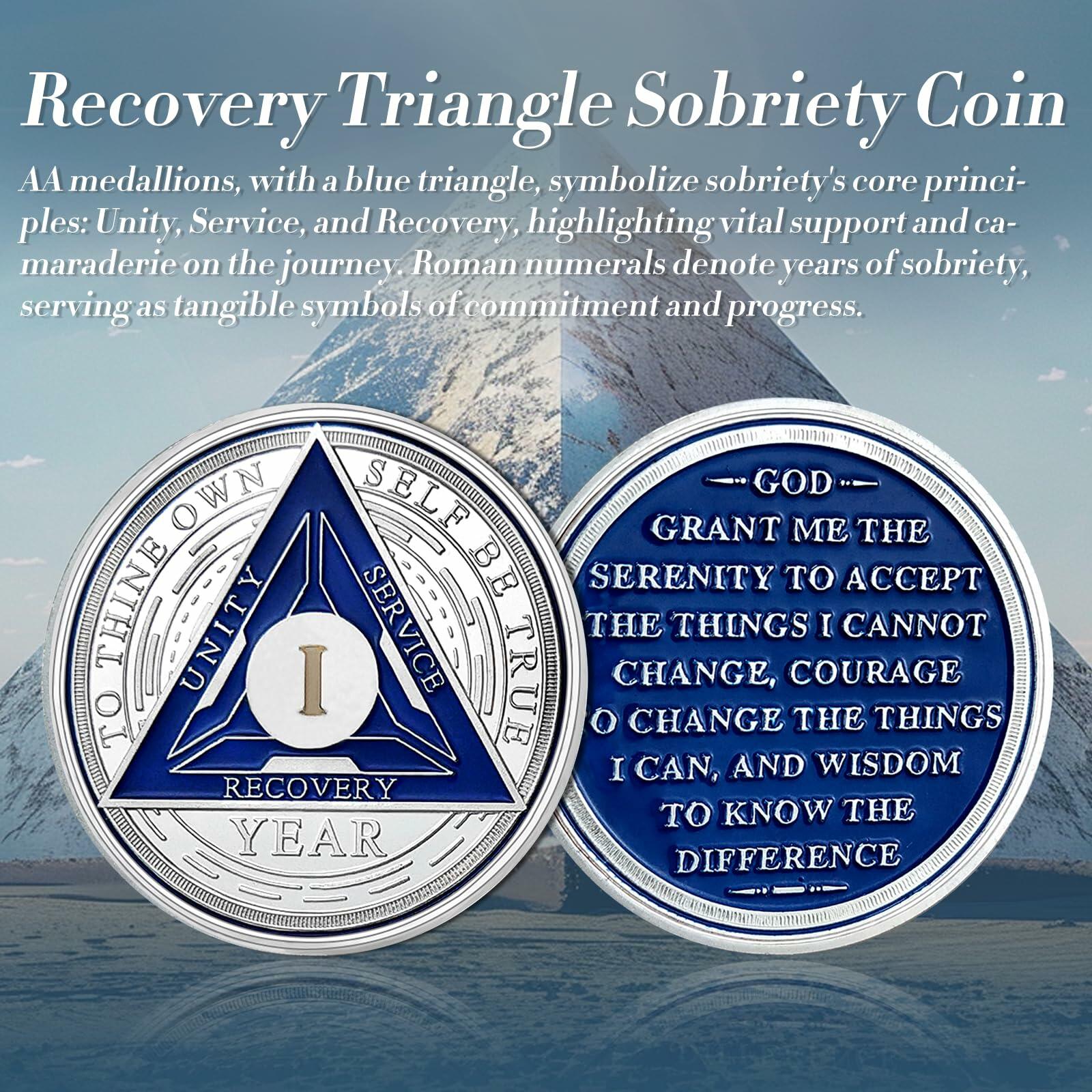 Recovery Triangle Sobriety Coin Silver Roman Numeral Size 1-40 NA AA