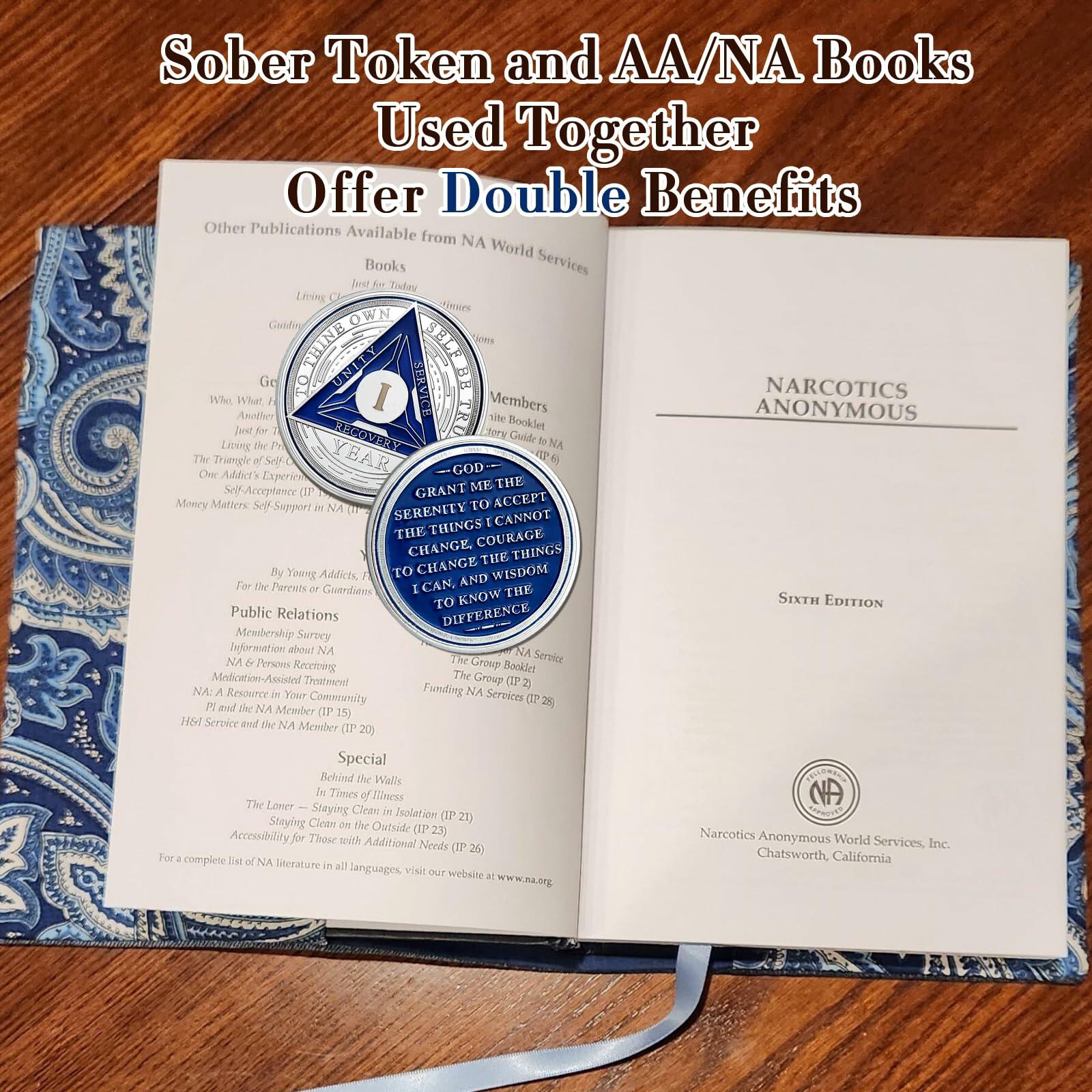 Recovery Triangle Sobriety Coin Silver Roman Numeral Size 1-40 NA AA