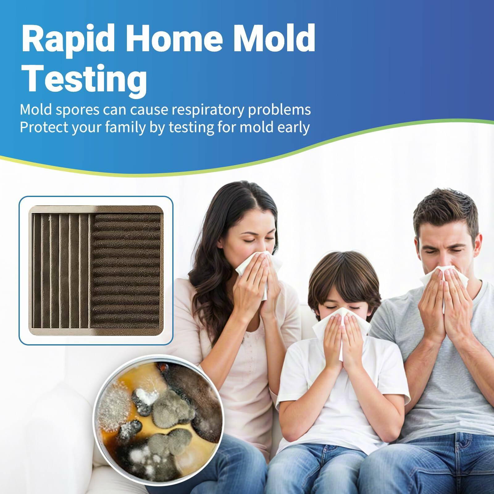 Mosynex Mold Test Kit 6 Detection Tests DIY Black Mold Detector Indoor Air