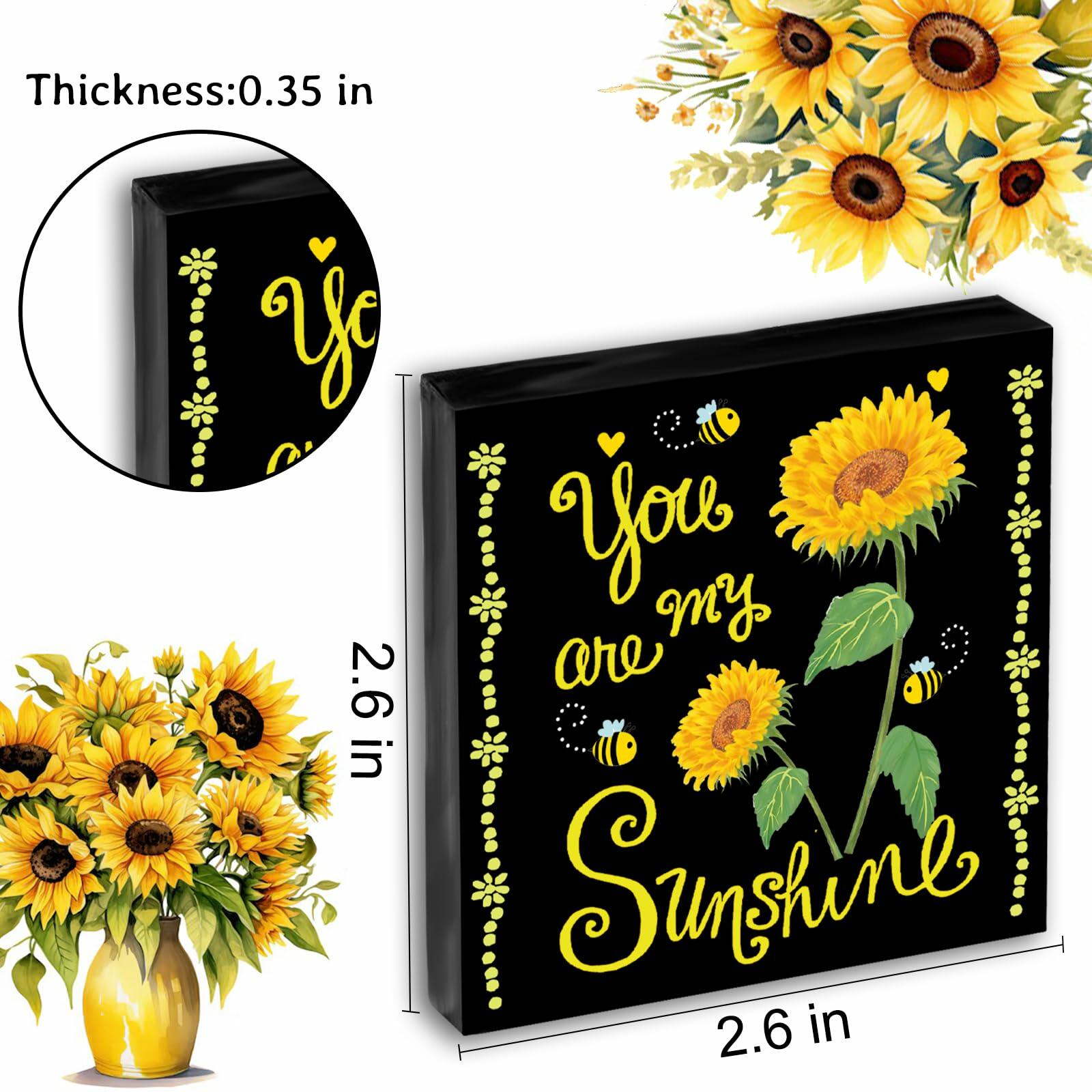Crizaor You Are My Sunshine Inspirational Acrylic Keychain Black