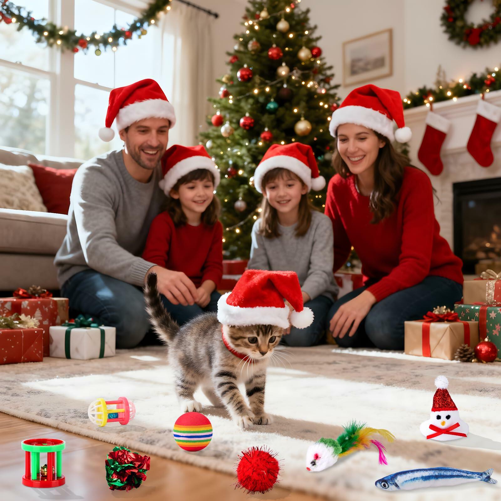 Frerdui Cat Advent Calendar 2025 24 Days Kitten Toys Feather Teaser Red