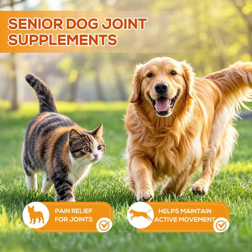 PetriTailor Turmeric Curcumin Dog Supplement Hip & Joint Support 60 Tablets