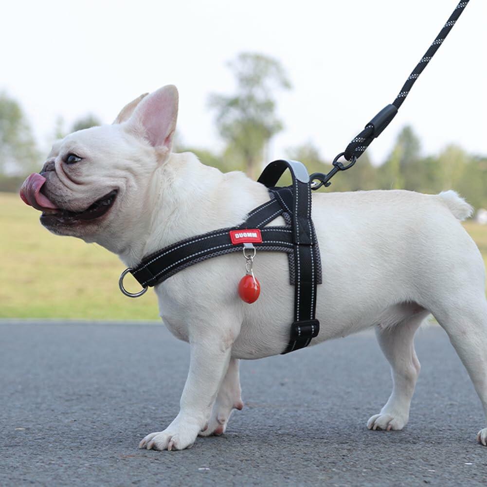 Kumihigh Yellow Dog No Pull Padded Escape Proof Harness XL Vibrant Color