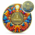 Sunflower 1 Year Sobriety Coin AA NA Recovery Medallion Butterfly Gift