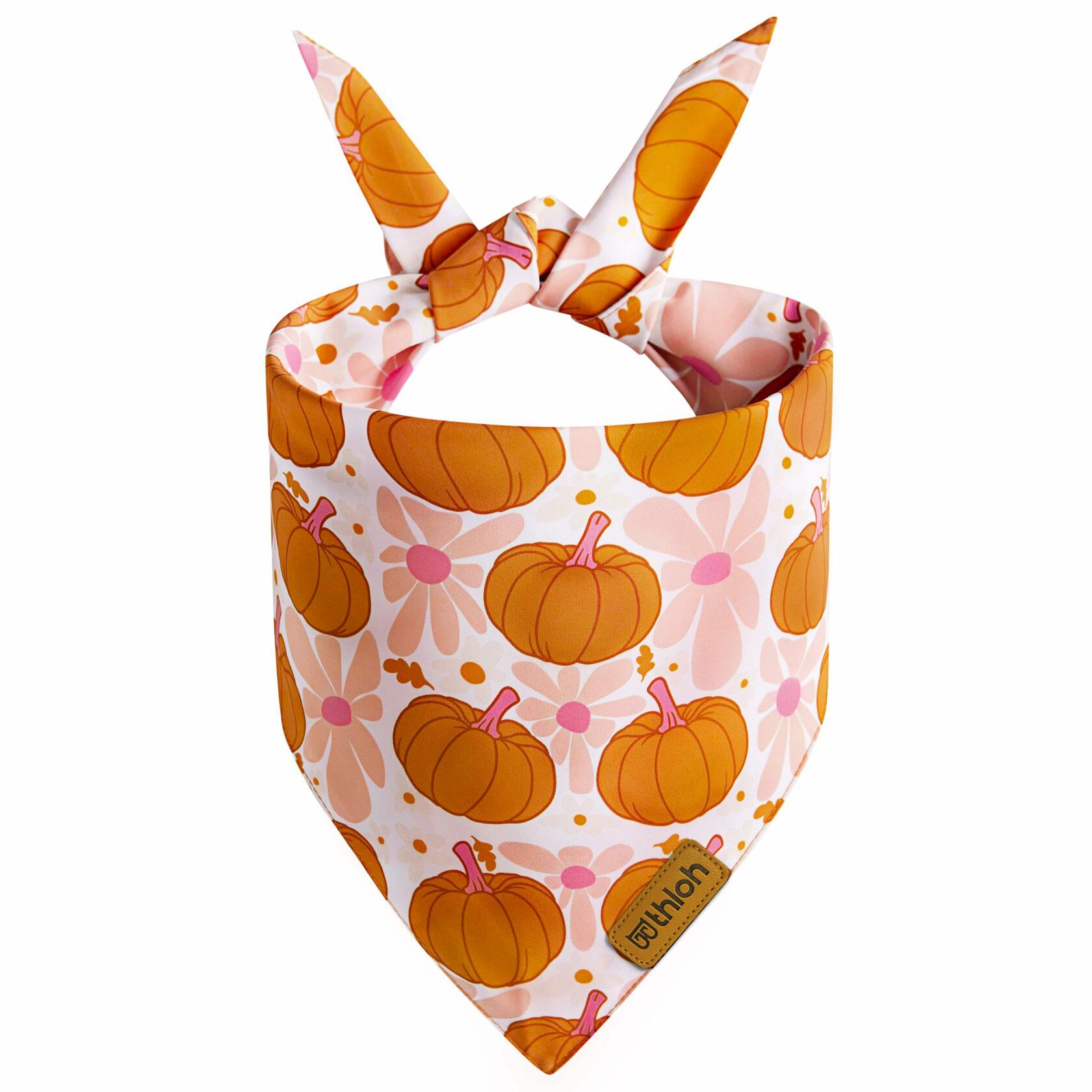 THLOH Fall Dog Bandanas 2 Pack Reversible Pumpkin Leaf Orange Large