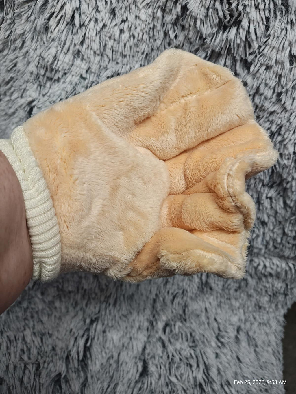 Small Pet Bonding Mitt – Non-Bite Comfort by PNC Family FInds