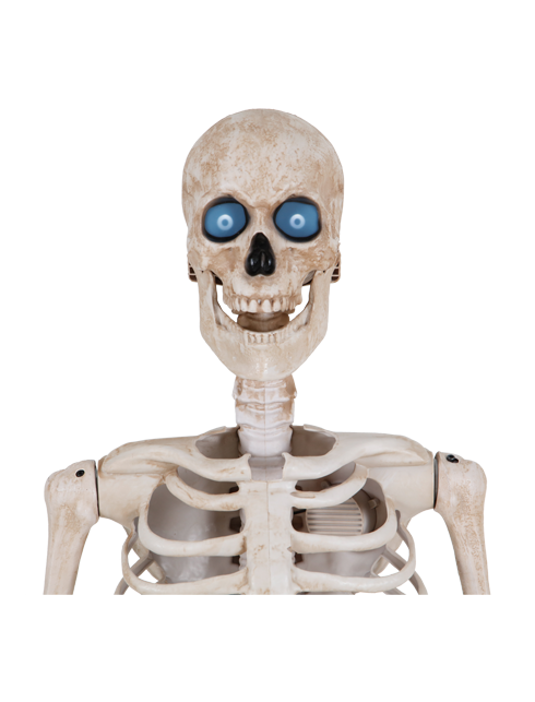 Bone Daddy™