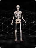 Bone Daddy™