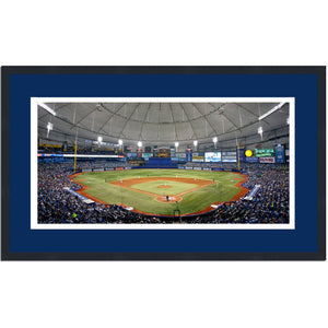 Framed Tropicana Field Tampa Bay Rays MLB 16x24 Baseball Photo Professionally Matted
