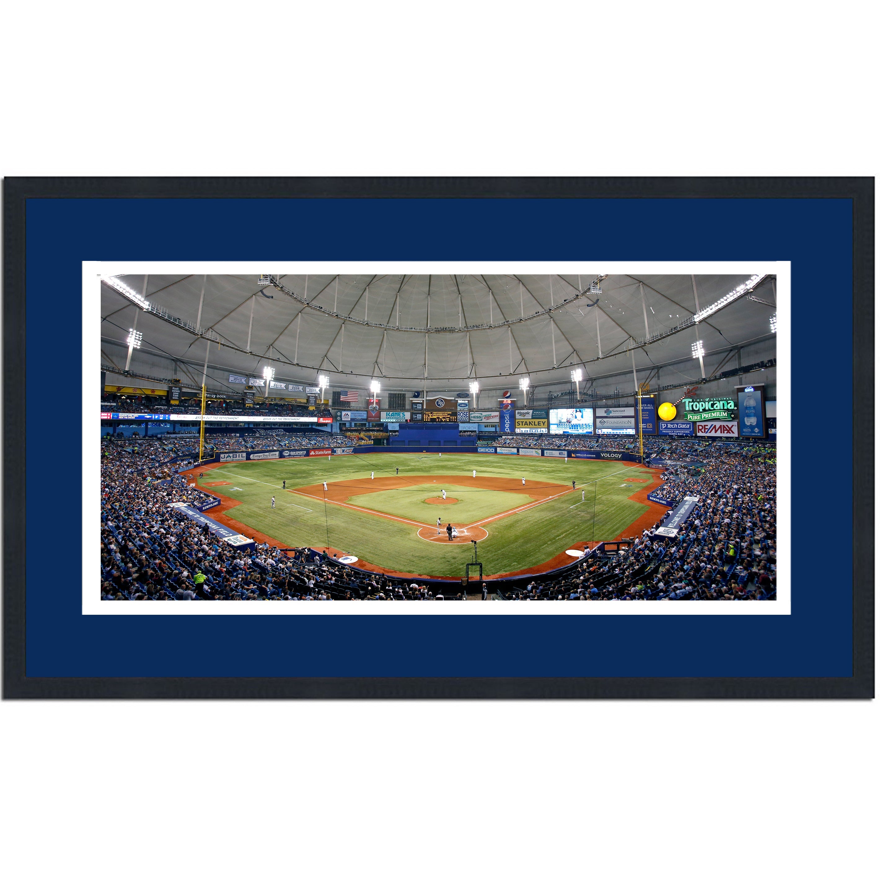 Framed Tropicana Field Tampa Bay Rays MLB 16x24 Baseball Photo Professionally Matted