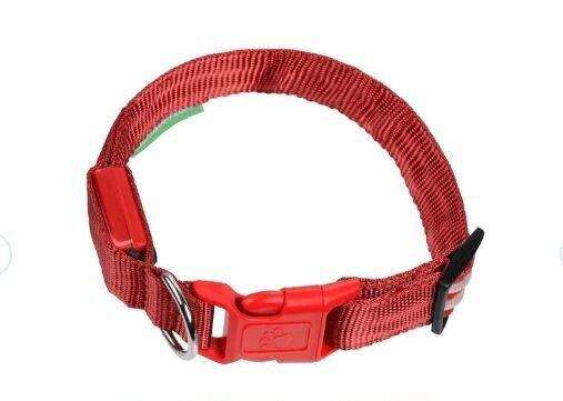 LED Adjustable Dog Collar- 5 Sizes 7 Colors  Blinking Flashing/Solid