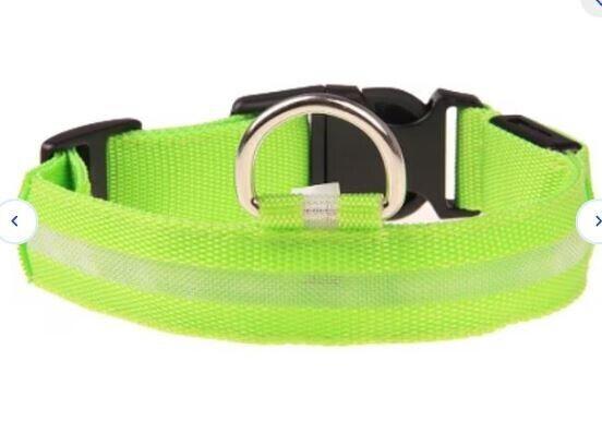LED Adjustable Dog Collar- 5 Sizes 7 Colors  Blinking Flashing/Solid