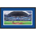Framed Rogers Centre Toronto Blue Jays MLB 16x24 Baseball Photo Professionally Matted