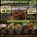 European Night Crawlers – Chemical-Free Delight by PNC