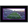 Framed Amon G. Carter Stadium TCU Horned Frogs 16x24 NCAA Football Photo Professionally Matted