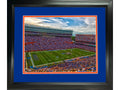 Framed Ben Hill Griffin Stadium (The Swamp) Florida Gators 11"x14" NCAA Football Photo Professionally Matted