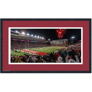 Framed Martin Stadium Washington State Cougars 16x24 NCAA Football Photo Professionally Matted