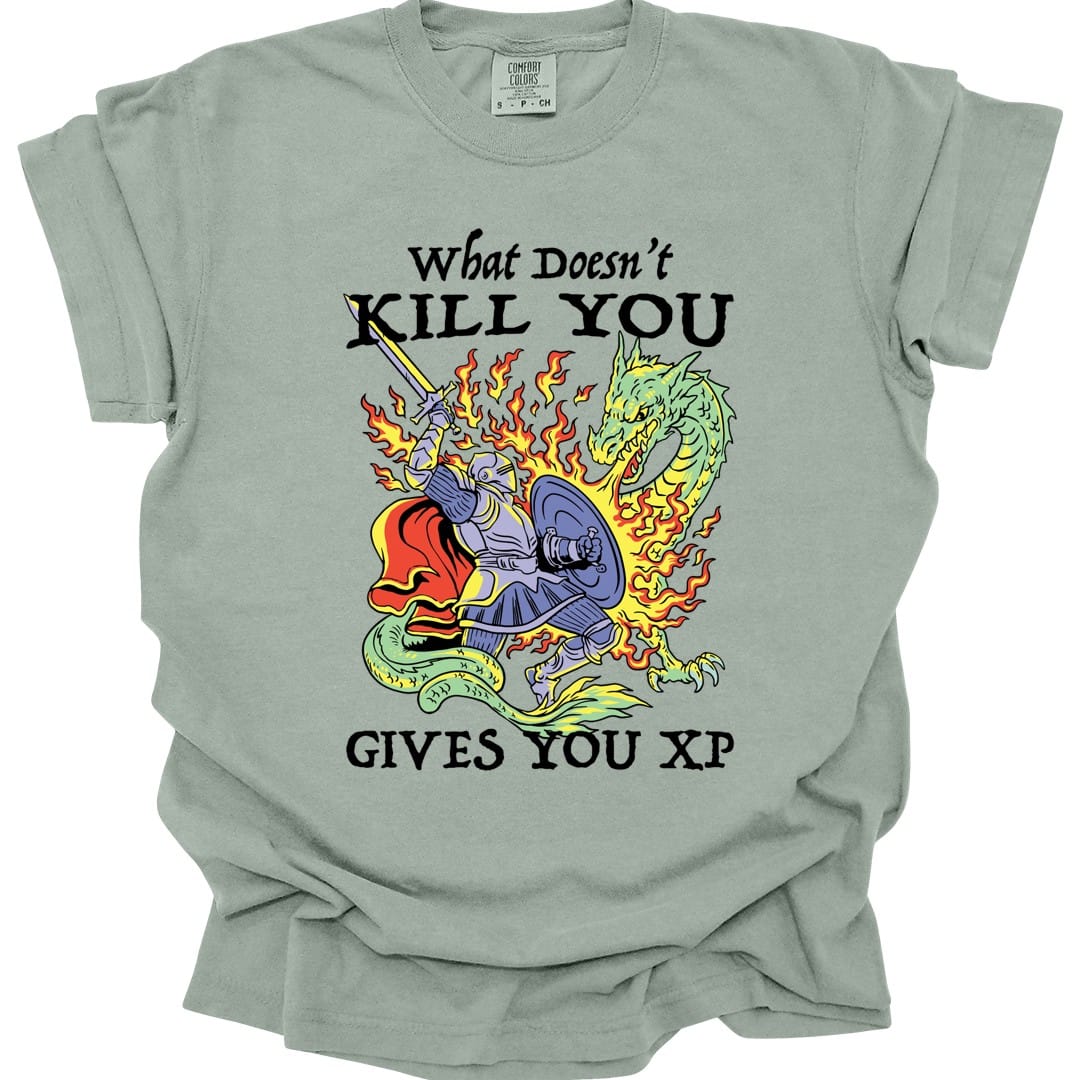 What Doesn't Kill You Gives You XP T-Shirt - Comfort Colors